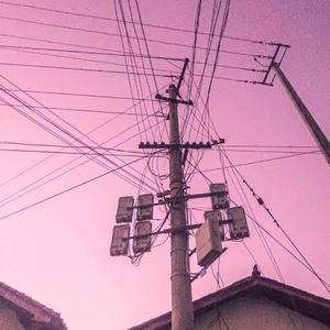 色多多视频成人影院
